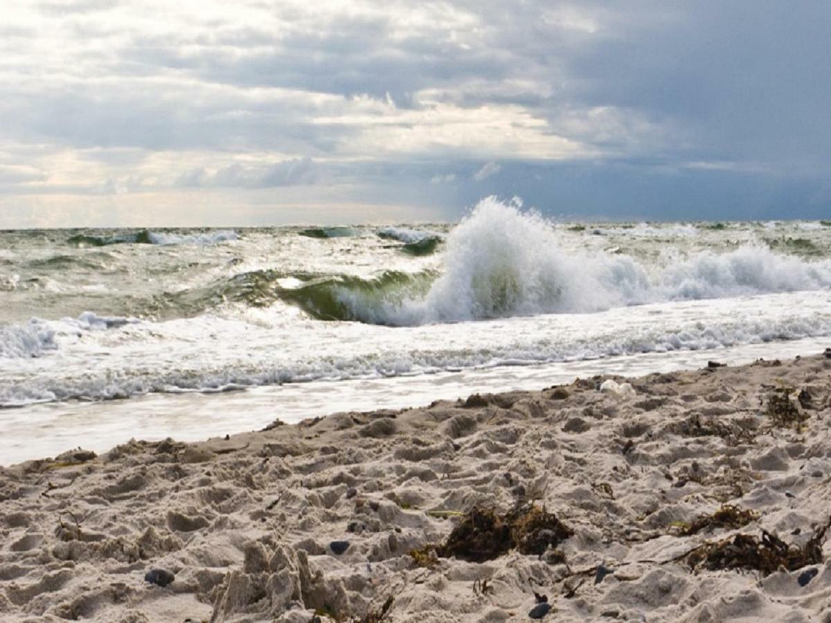 Vila Tu Hus In Linde Eck Zingst Exteriér fotografie